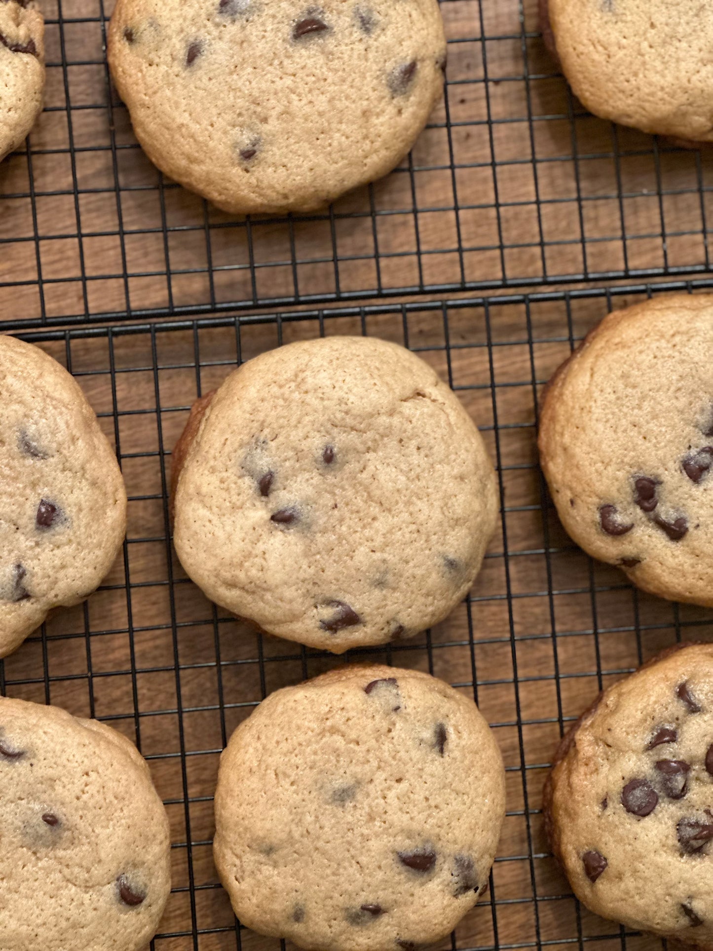 Sourdough Chocolate Chip Cookies