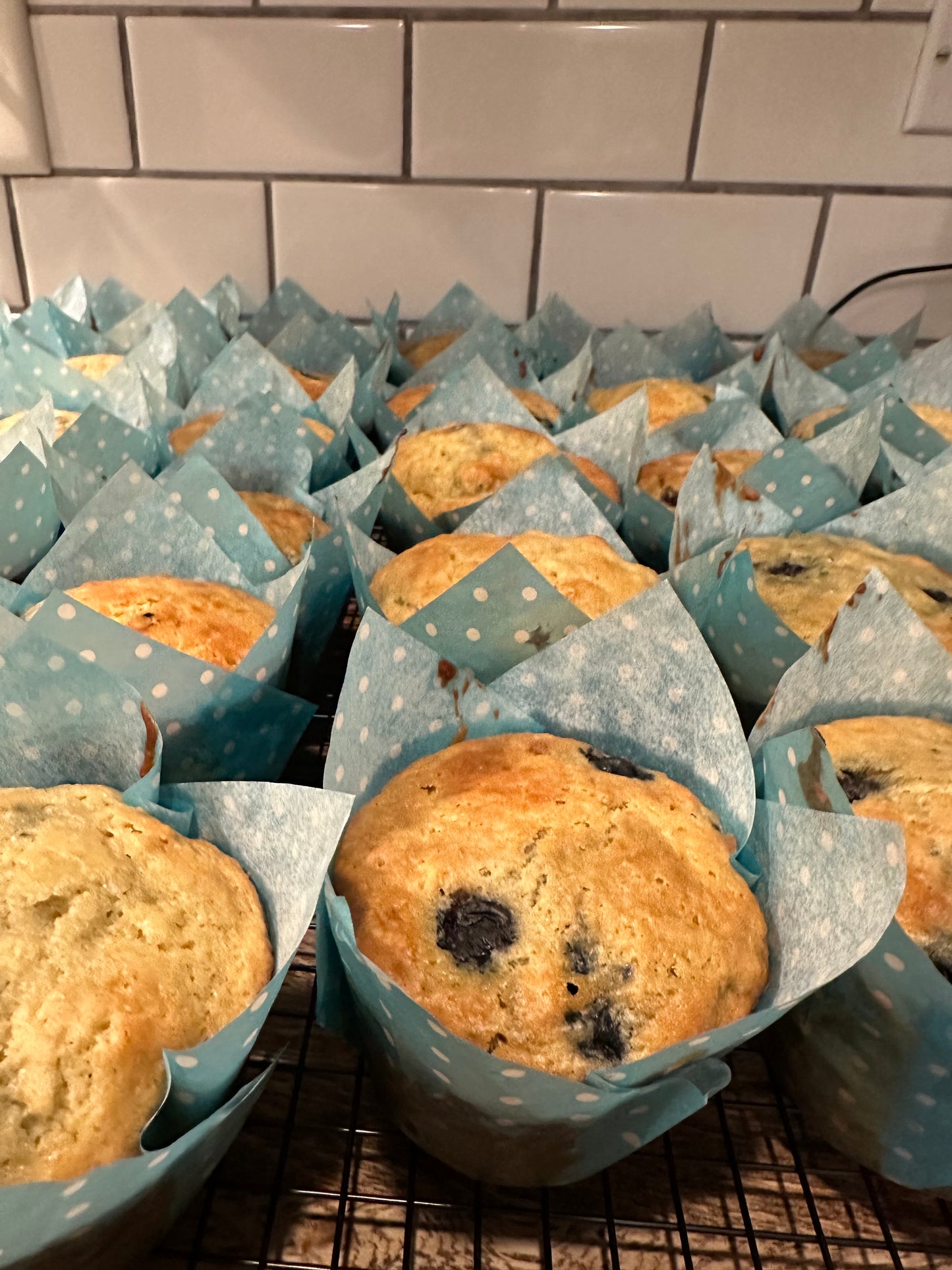 Sourdough Blueberry Muffins