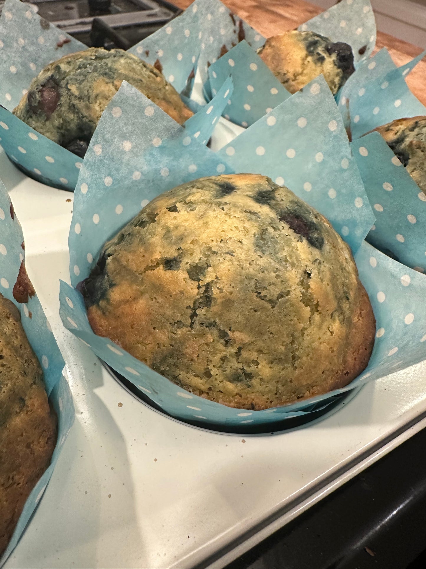 Sourdough Blueberry Muffins